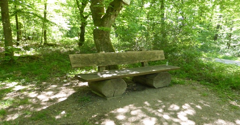 Romantischer Sitzplatz im Kälblingswald