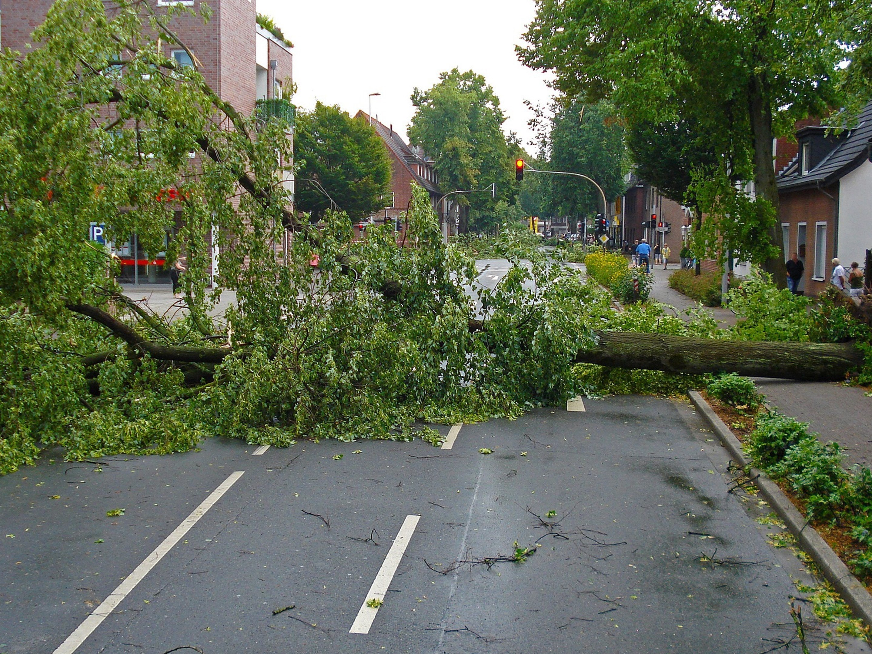 Sturmschaden Baum versperrt die Straße - Quelle: Pressestelle Landratsamt Ludwigsburg