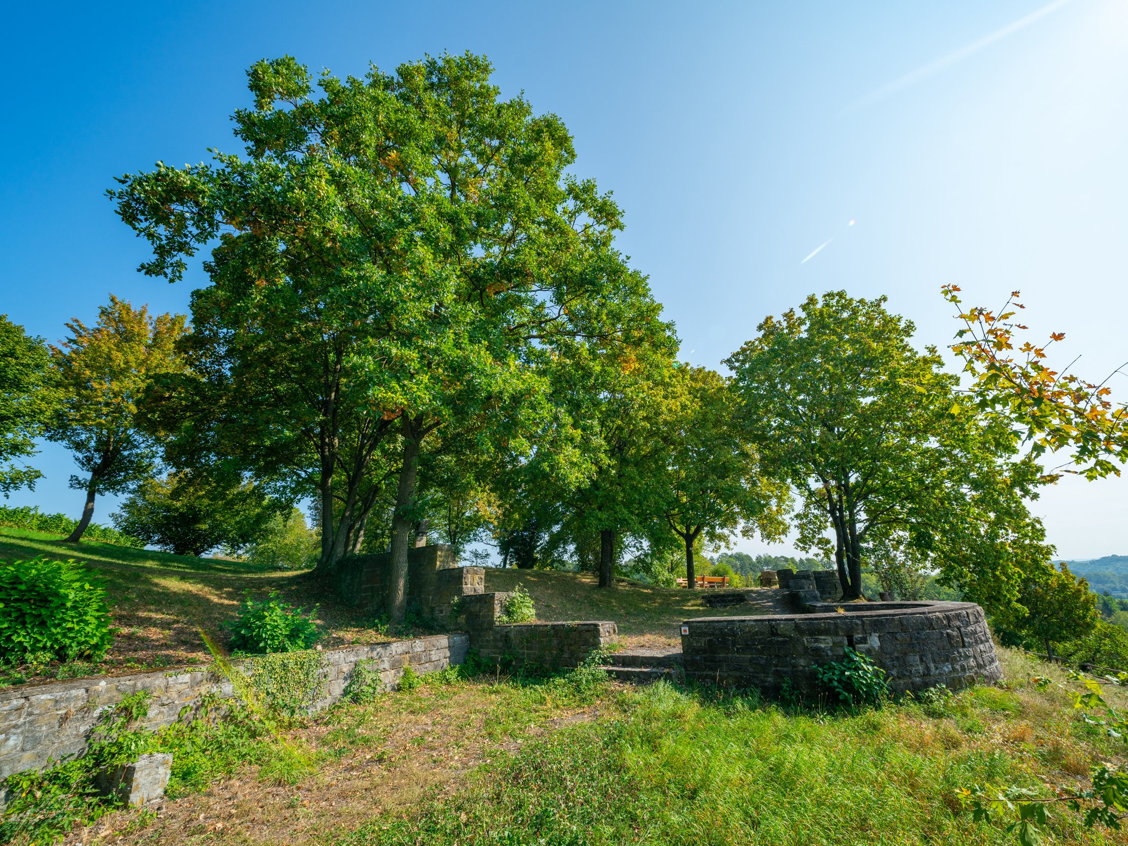 Aussichtspunkt Burgberg - alte Mauerreste, viele Bäume und Sitzgelegenheit